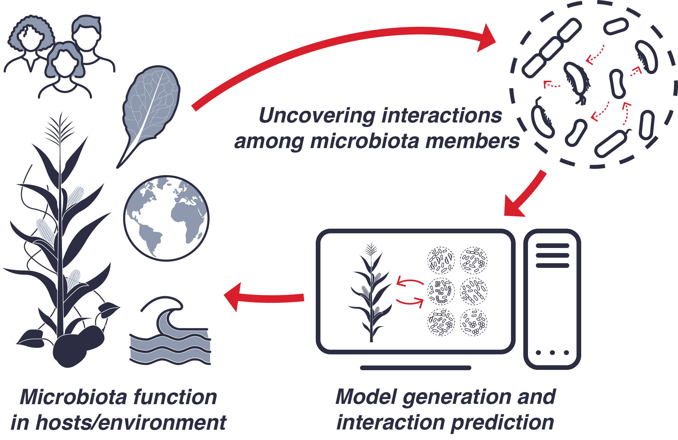 research schematic